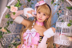 Coser Ono Schwester w "Love Live! (Southern Bird)"