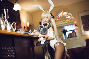 [Cosplay Photo] Moe Ono Girl w - Fate of the Sky (Haruhi Ye Dome) 3